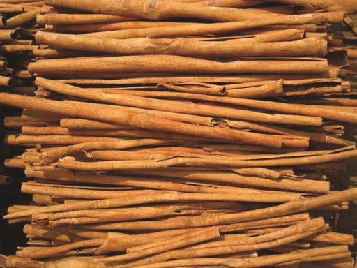 Quế Bào Ống Sáo