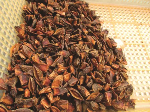 Hồi vụn